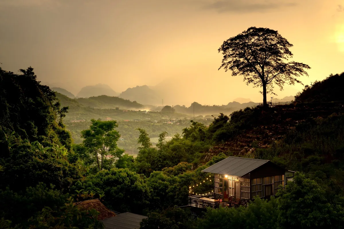 Căn nhà nhỏ ấm áp ánh sáng nằm dưới bóng cây cô độc, nhìn ra thung lũng mờ sương lúc hoàng hôn ở Mộc Châu.